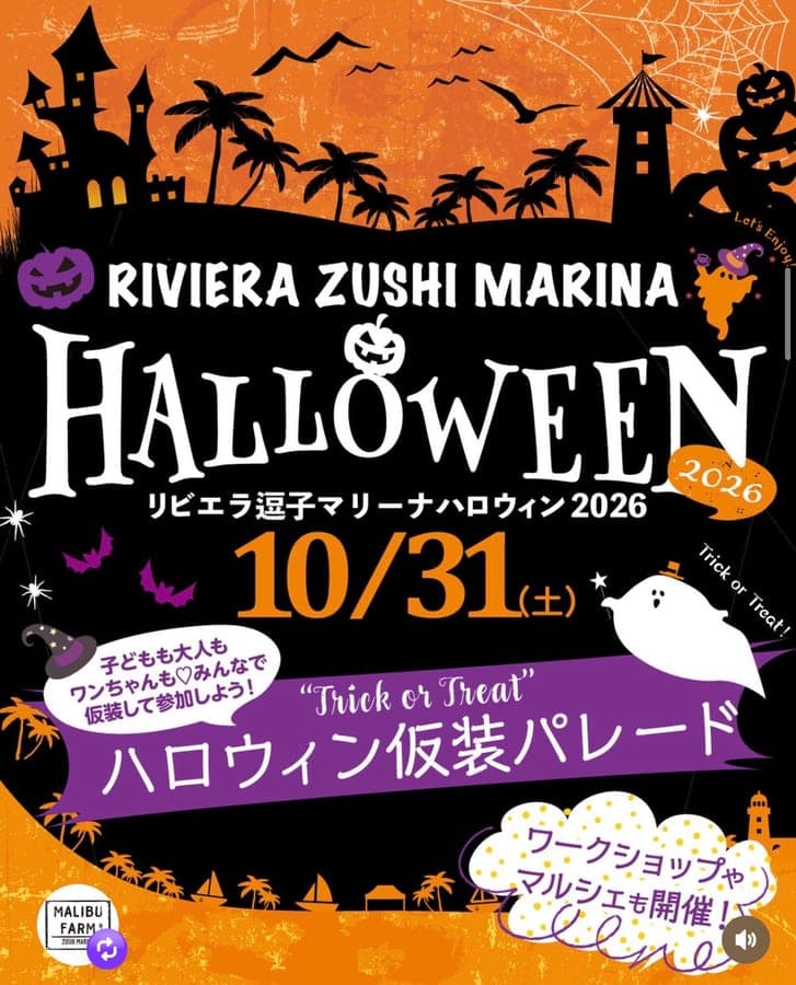 小坪うみかぜテラス シーサイドハロウィンマルシェ 2026 3